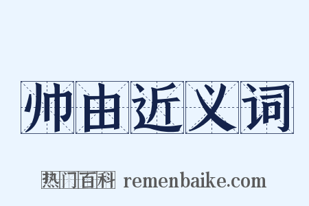 帅由近义词是什么意思的图片